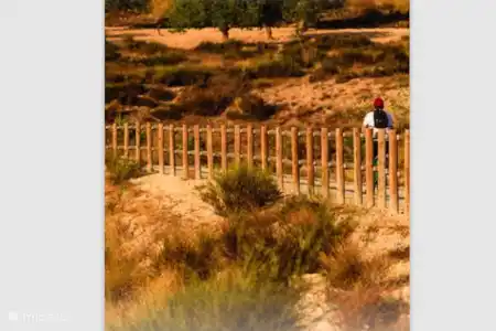 Voor de sportievelingen ( fietsen, wandelen )