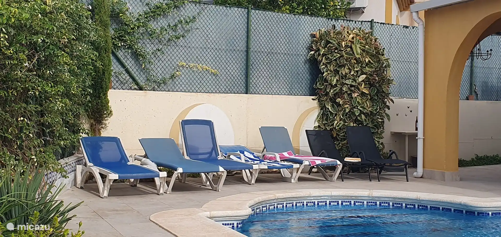 There are plenty of sunbeds, which you can place in the sun or shade as desired
The blue flower plants (Ruellia) along the wall were removed in autumn 2024