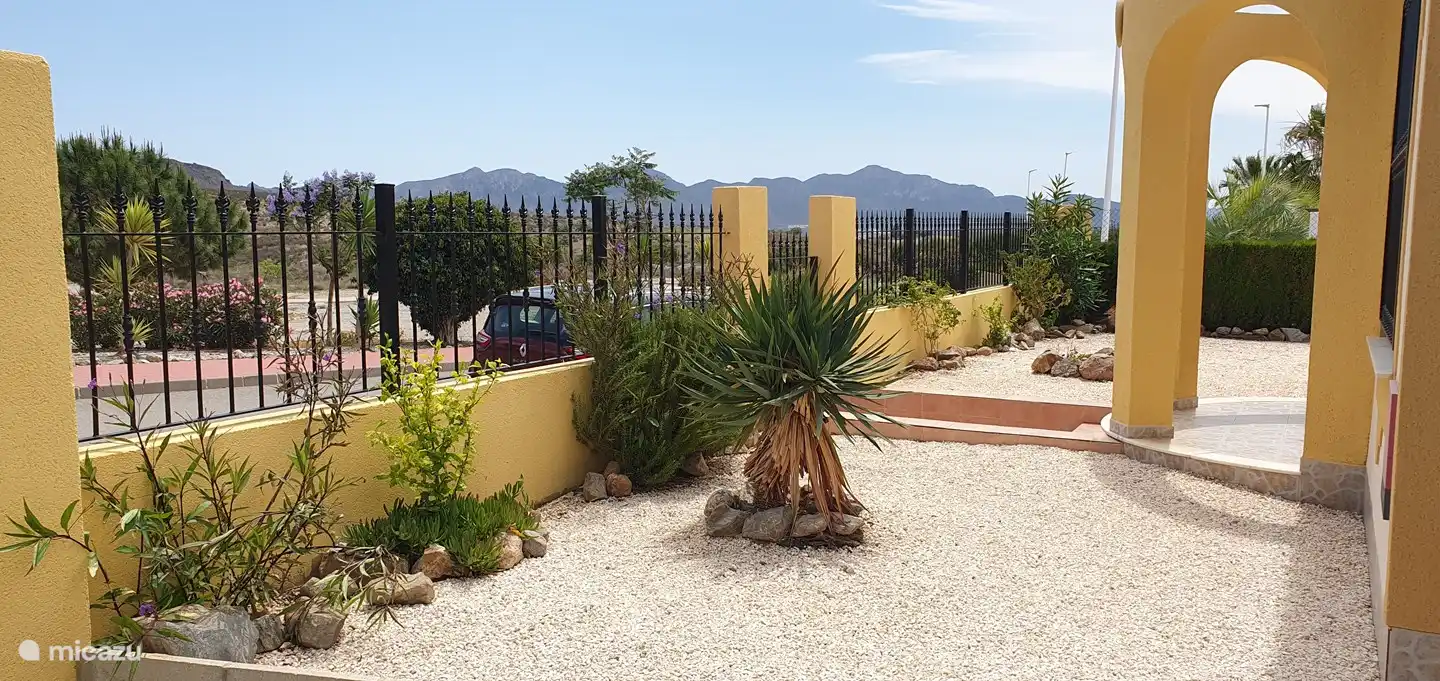 ... mountains on the right, behind which lies Mazarron.
Along the fence Ruellia grows with blue 1-day flowers, we removed them at the back, because they became a nuisance in the pool and on the tiles