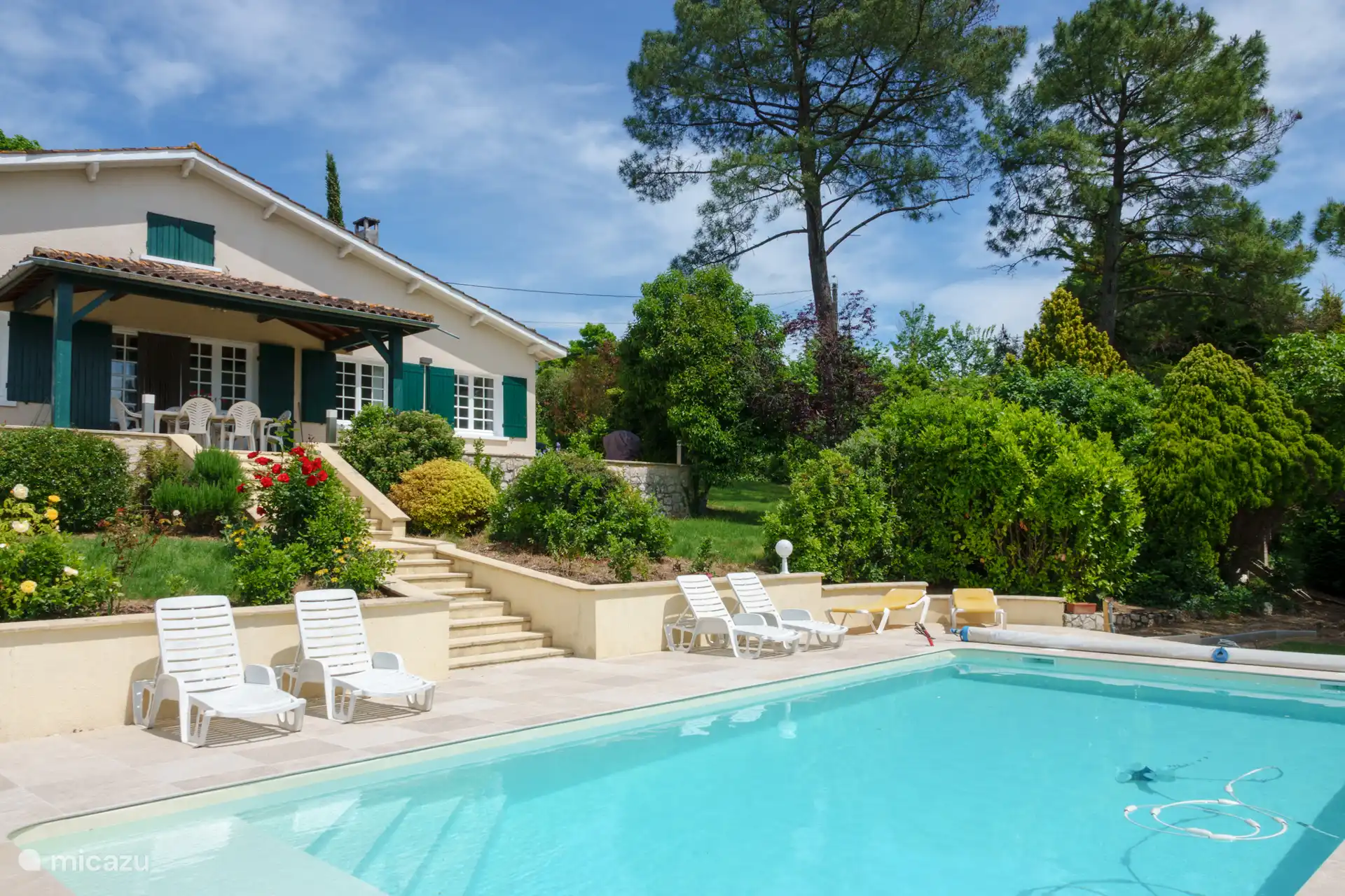 Garden and swimming pool