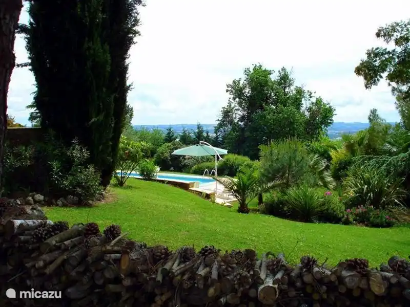 Overlooking the pool
