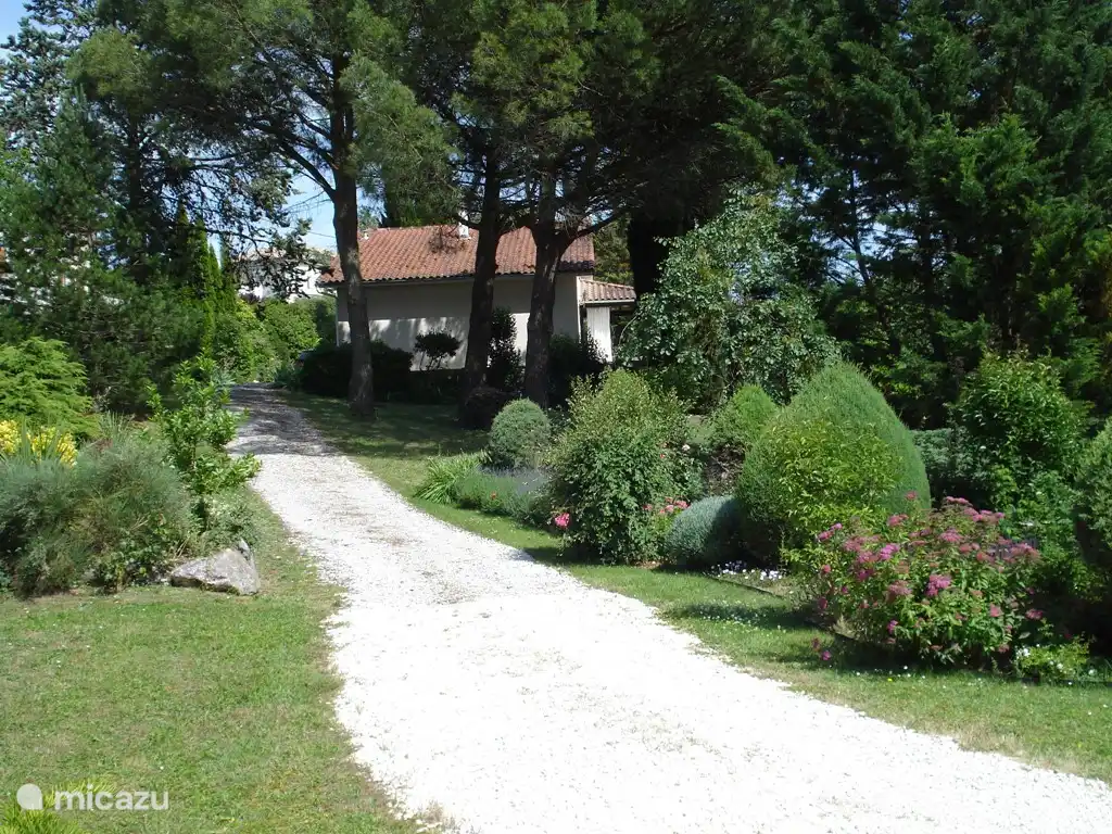 Drive towards the house with parking spaces in the shade