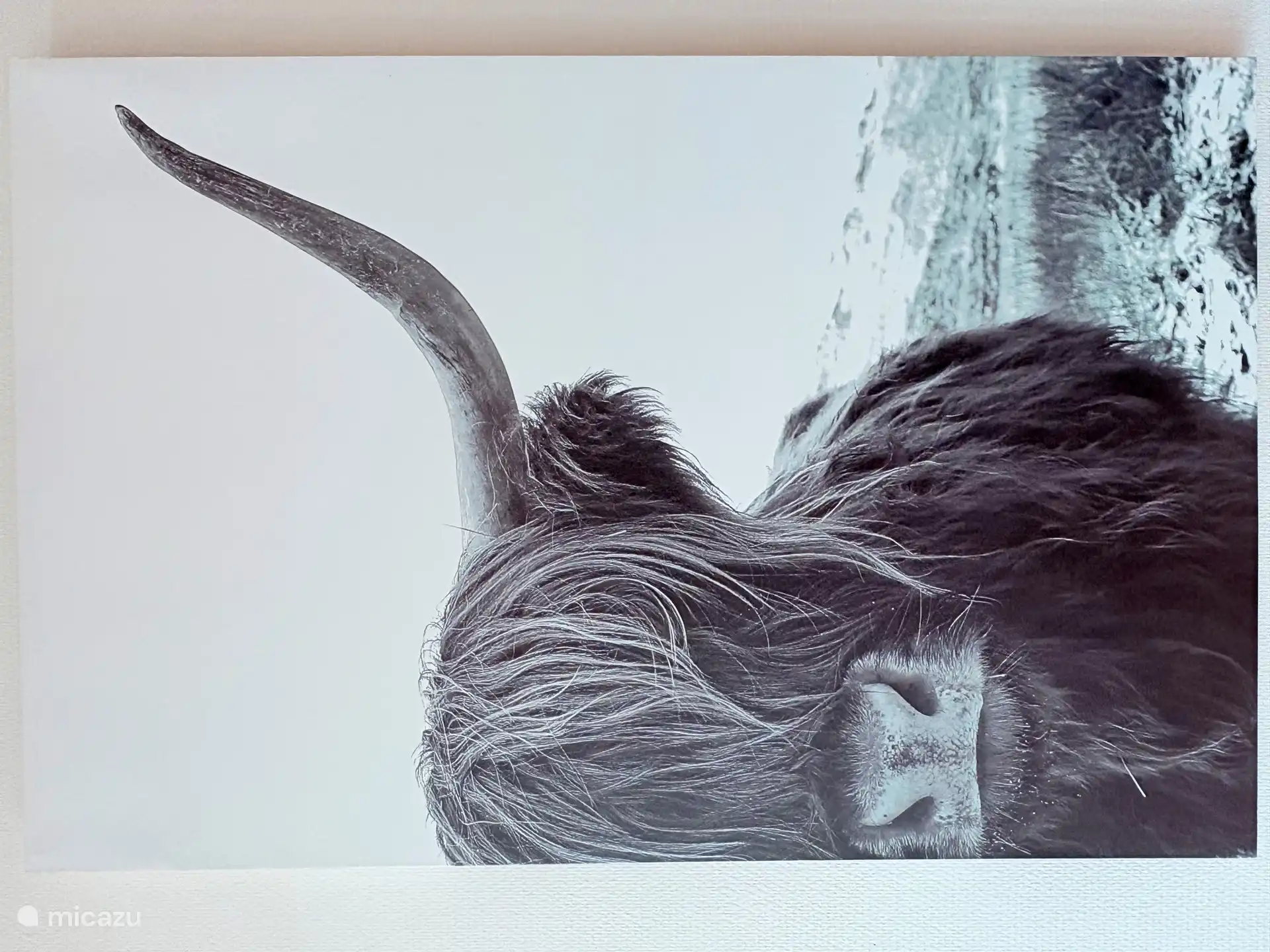 'Loft' in Niederlande, Friesland, Vrouwenparochie - Appartement