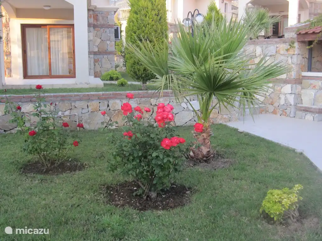 Een stukje van de omringende tuin.