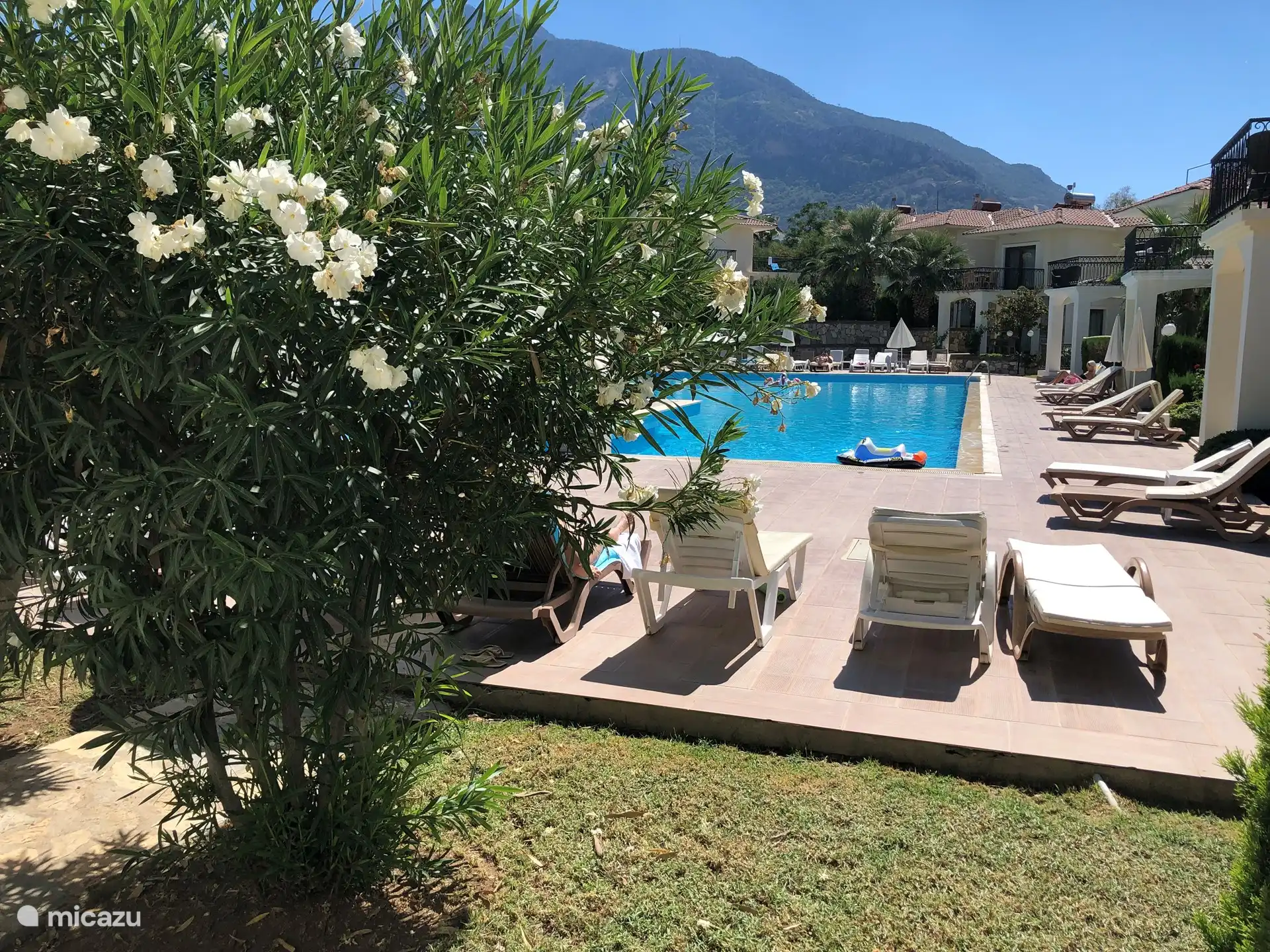 Zicht op het zwembad vanaf het terras.