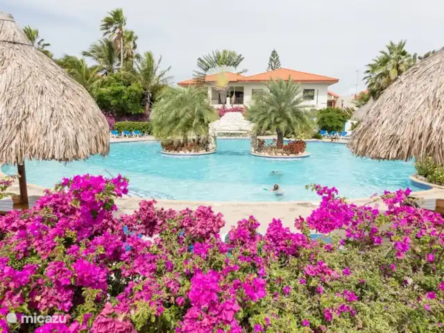 Location de Vacances Curaçao, Banda Ariba (est), Seru Coral, studio - Seru Coral Studio Happy Hour La belle piscine avec les bougainvilliers
en fleurs