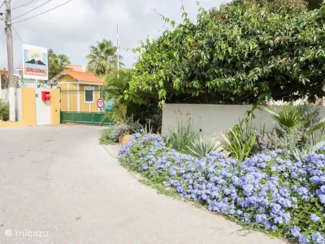 Location de Vacances Curaçao, Banda Ariba (est), Seru Coral, studio - Seru Coral Studio Happy Hour Entrée de la station