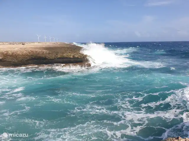 Location de Vacances Curaçao, Banda Ariba (est), Seru Coral, studio - Seru Coral Studio Happy Hour La belle nature de Curaçao