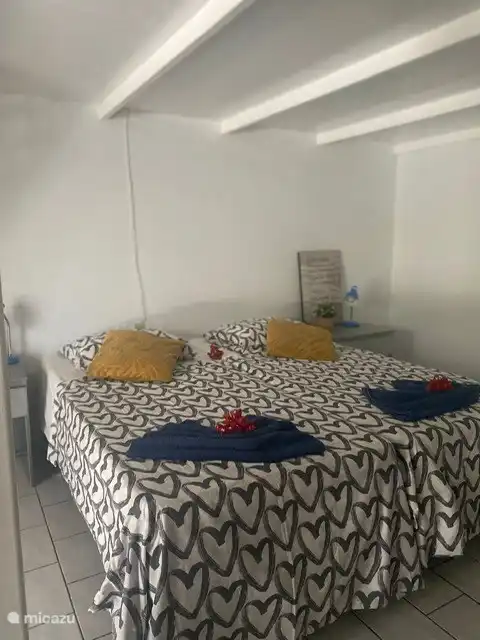 2 camas individuales