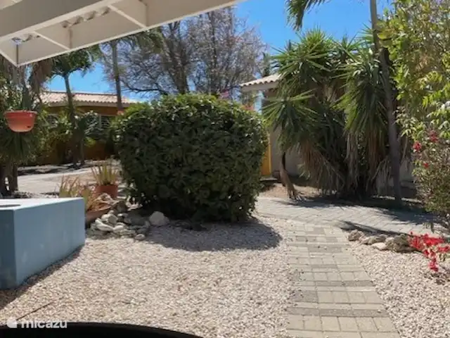 Location de Vacances Curaçao, Banda Ariba (est), Seru Coral, studio - Seru Coral Studio Happy Hour Vue depuis l'atelier