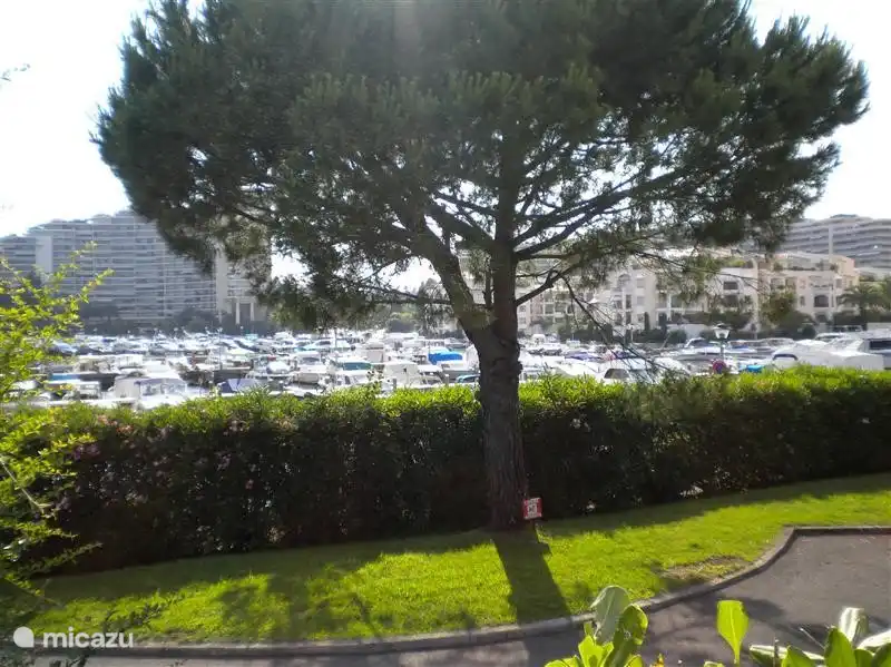 Marina Cannes-Marina