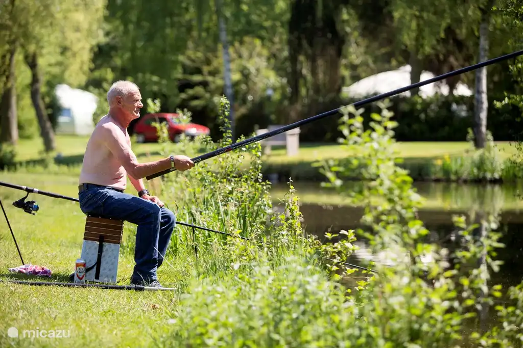 Ferienhaus Iglo 35 Bungalow Eldorado, Chaam in Chaam, Nordbrabant