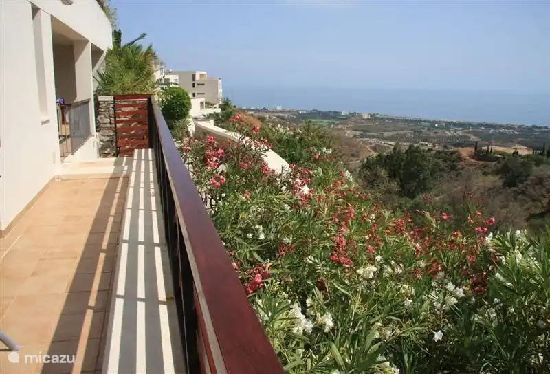 Vista desde la terraza