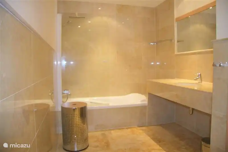 Gran baño con bañera/ducha, lavabo