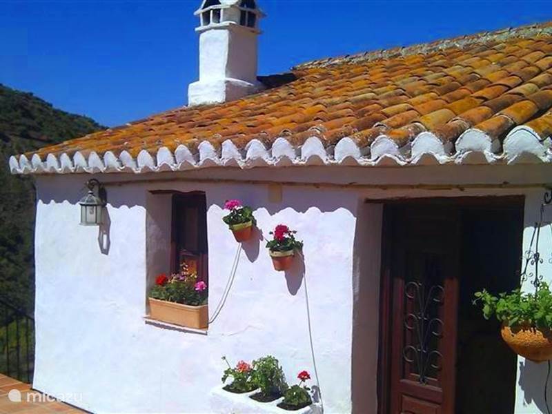 Holiday home in Spain, Andalusia, Los Capitos Holiday house Casa del Algarrobo