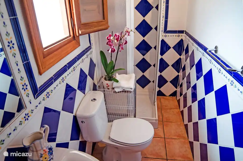 De eigen badkamer van de slaapkamer op de 1e verdieping. 