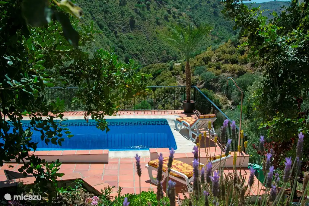 Het privézwembad met zicht op de vallei
