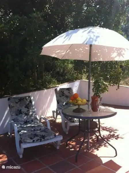 De ligstoelen bij het zwembad bieden het gewenste comfort hetzij in de zon of in de schaduw van de Algarobbo-boom.