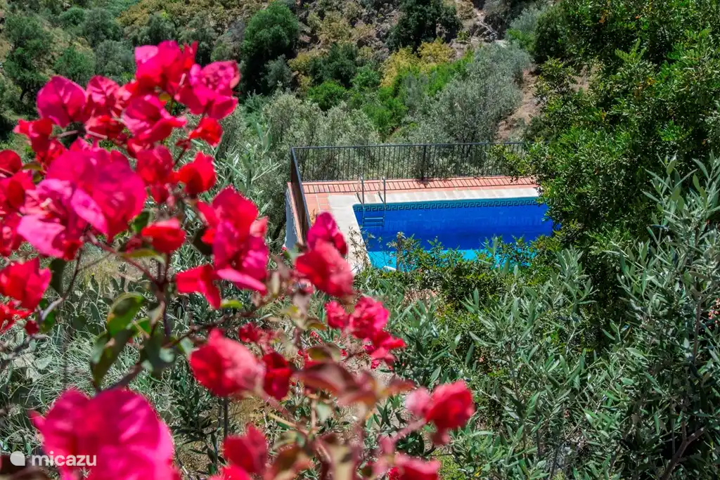 Uitzicht op het ruim privézwembad vanaf het terras. Via een trap vanaf het terras loop je naar het zwembad. Het is dus voor beide wooneenheden toegankelijk.