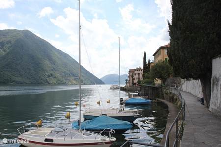 olive Grandia route to the lake Lugano
