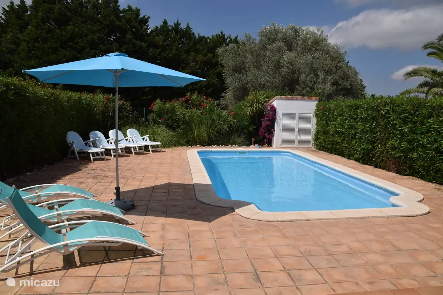 Patio trasero con seto de adelfas alrededor y piscina privada. &#161;Suficientes tumbonas para todos los hu&#233;spedes!