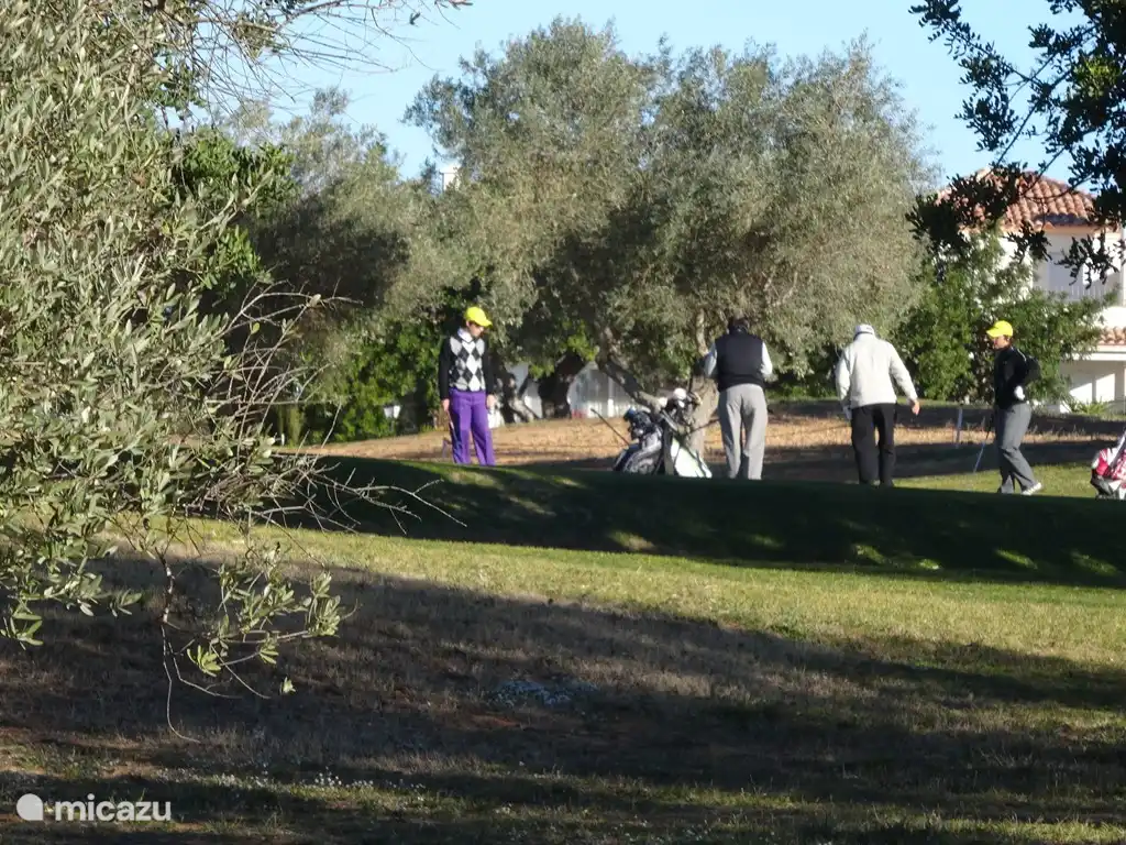 Panoramica - Golfistas en acci&#243;n