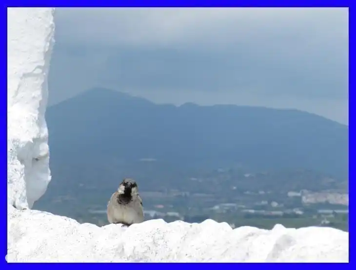 Amplia vista desde la Ermita San Sebasti&#225;n de Vinar&#243;s. Tambi&#233;n hay un acogedor restaurante en la ermita.