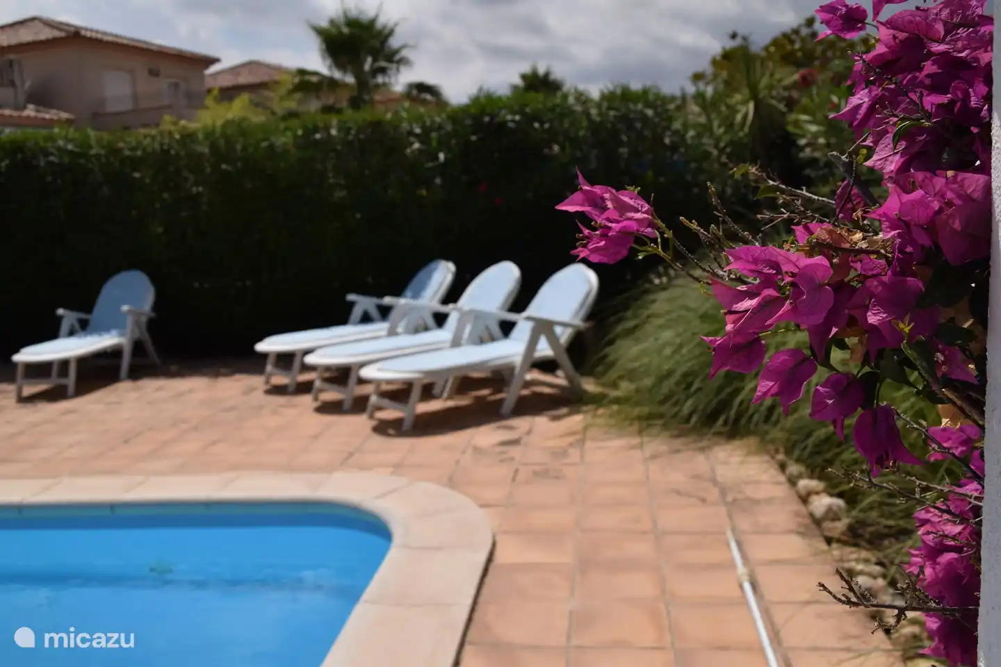 Algunas de las tumbonas disponibles en el patio trasero junto a la buganvilla