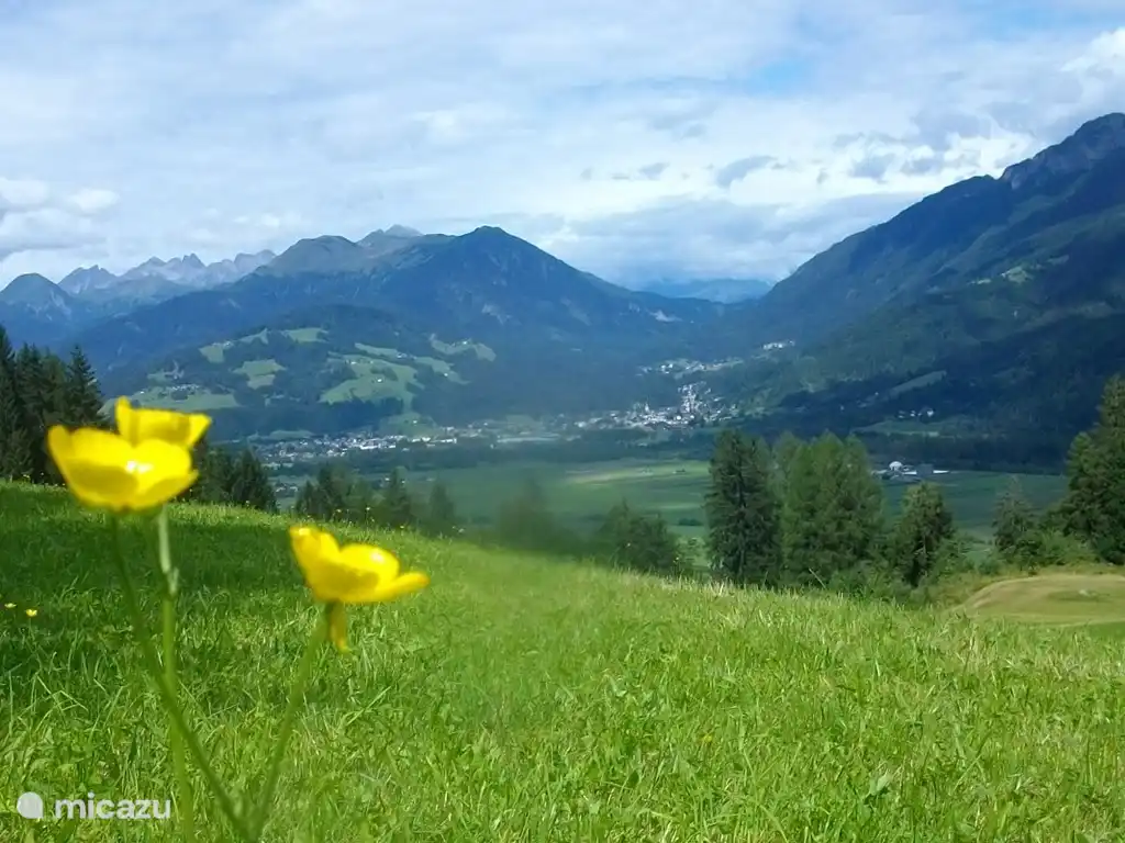 Die Umwelt im Frühling