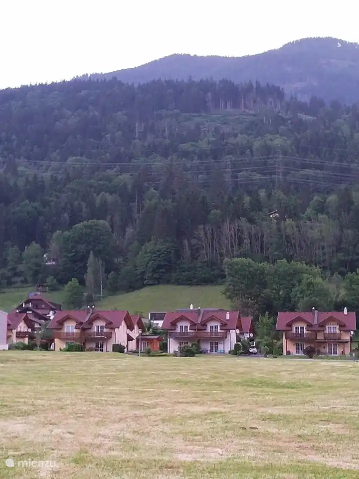 Sonnechalet hat einen schönen freien Blick über die Wiesen bis hin zu den Bergen.