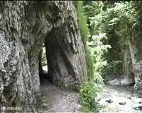 Klettern an die Spitze.