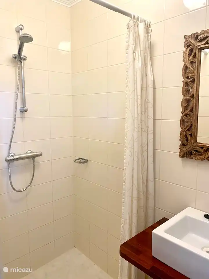 Badkamer met wastafel en inloopdouche