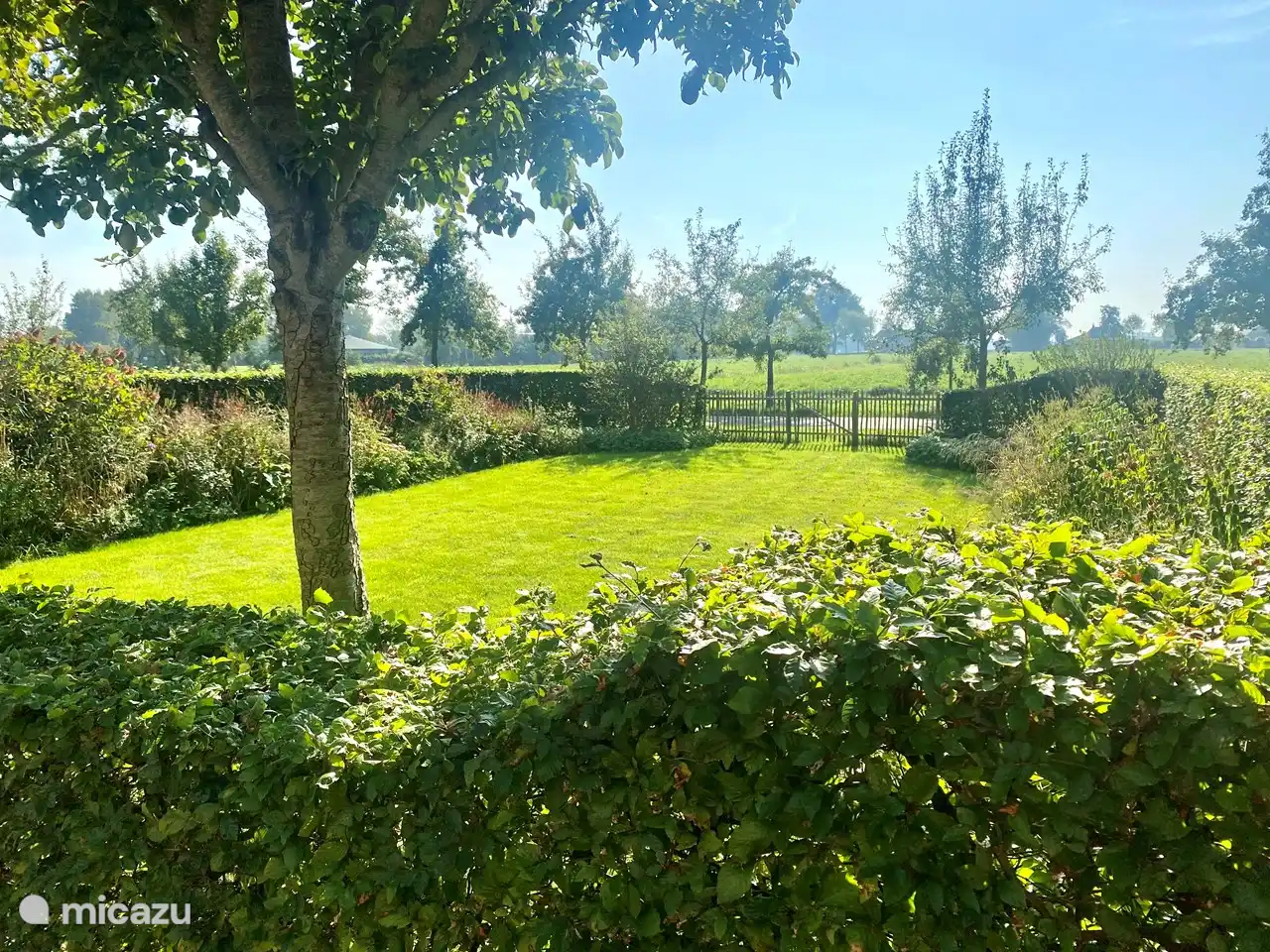 Uitzicht op tuin en weiland 