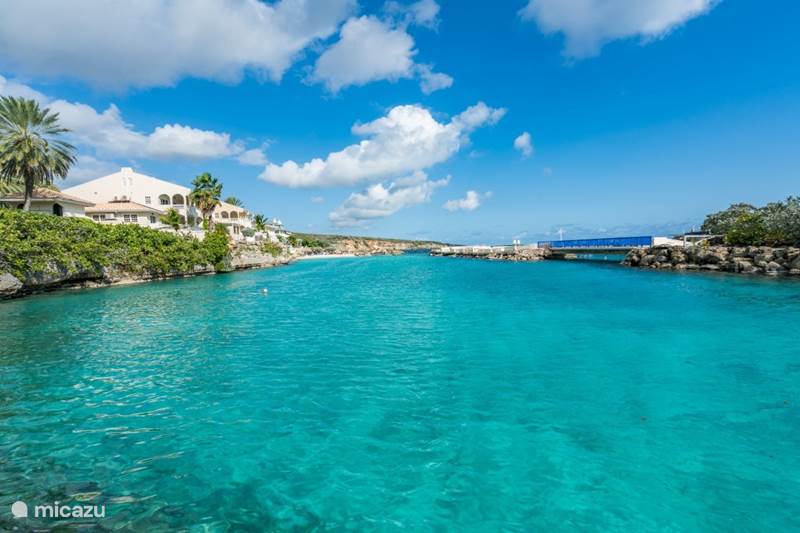 Vacation rental Curaçao, Banda Ariba (East), Mambo Beach Apartment Blue Lagoon Curacao Ocean Resort 