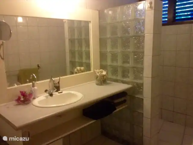 Location de Vacances Curaçao, Curaçao-Centre, Willemstad, maison de vacances - 'Casa Troepial' avec piscine privée Salle de bain dans la 'Chambre principale'