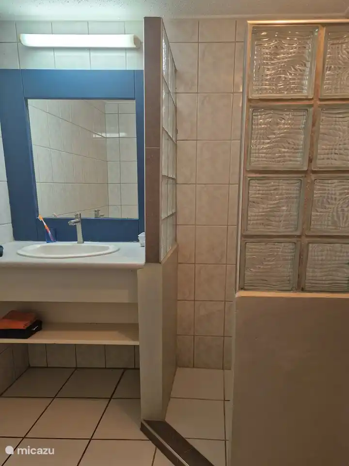 Bathroom in guest room