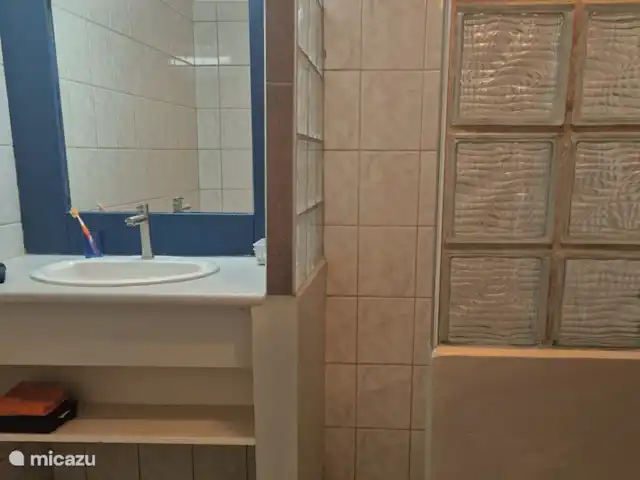 Location de Vacances Curaçao, Curaçao-Centre, Willemstad, maison de vacances - 'Casa Troepial' avec piscine privée Salle de bain dans la chambre d'amis