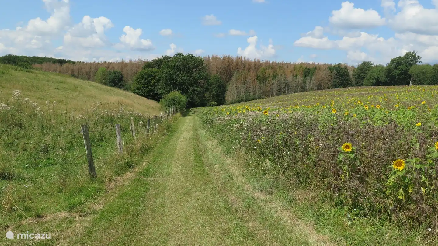 Volop wandelmogelijkheden.