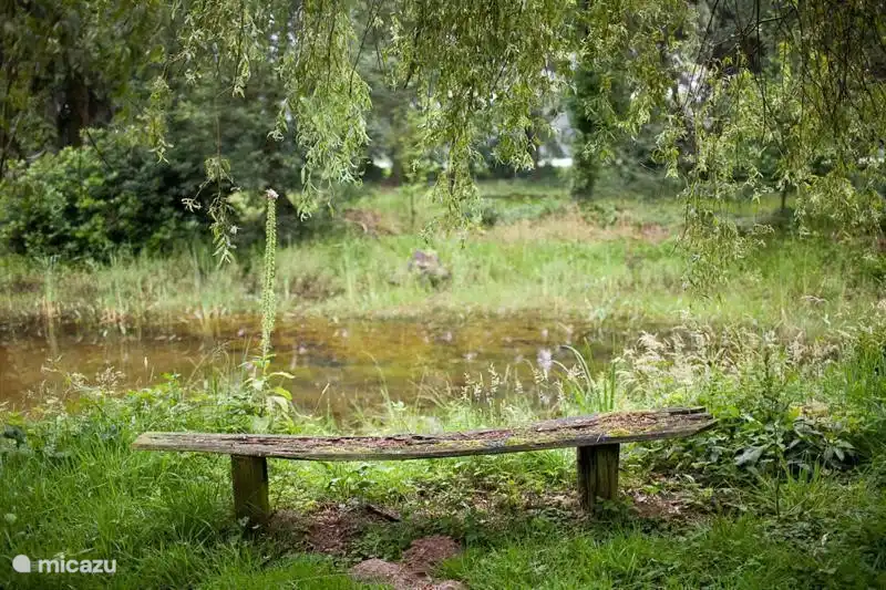 Im Teich befinden sich Graskarpfen, sanft und Frösche. Die Graskarpfen, haben wir speziell ausgesetzt in dem Teich um den Teich sauber zu essen.