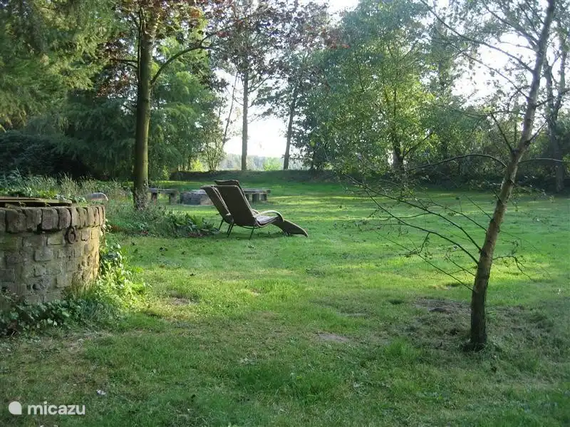 Unter dem Ahorn. Idealer Ort für die Rotahn Liegestuhlen.