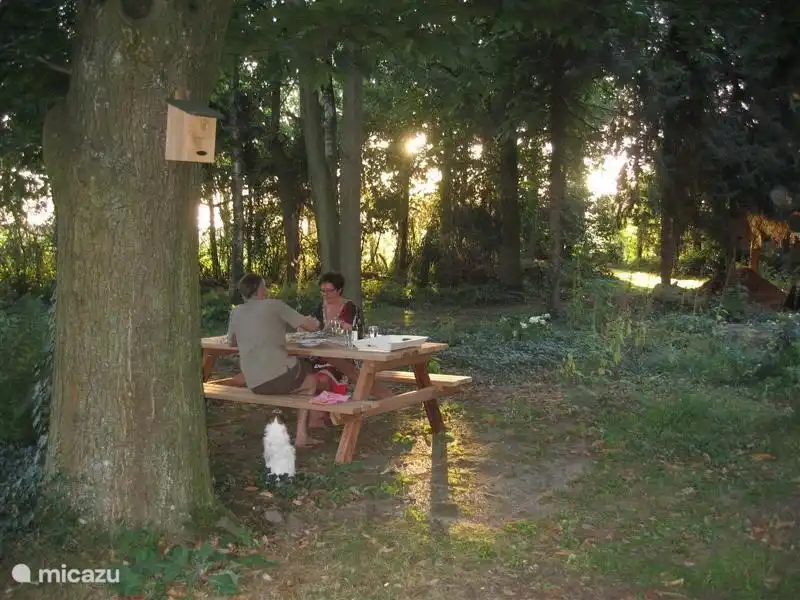 Unter dem Kastanienbaum. Dies ist der coolste Ort im Landgut in der Hochsommer.