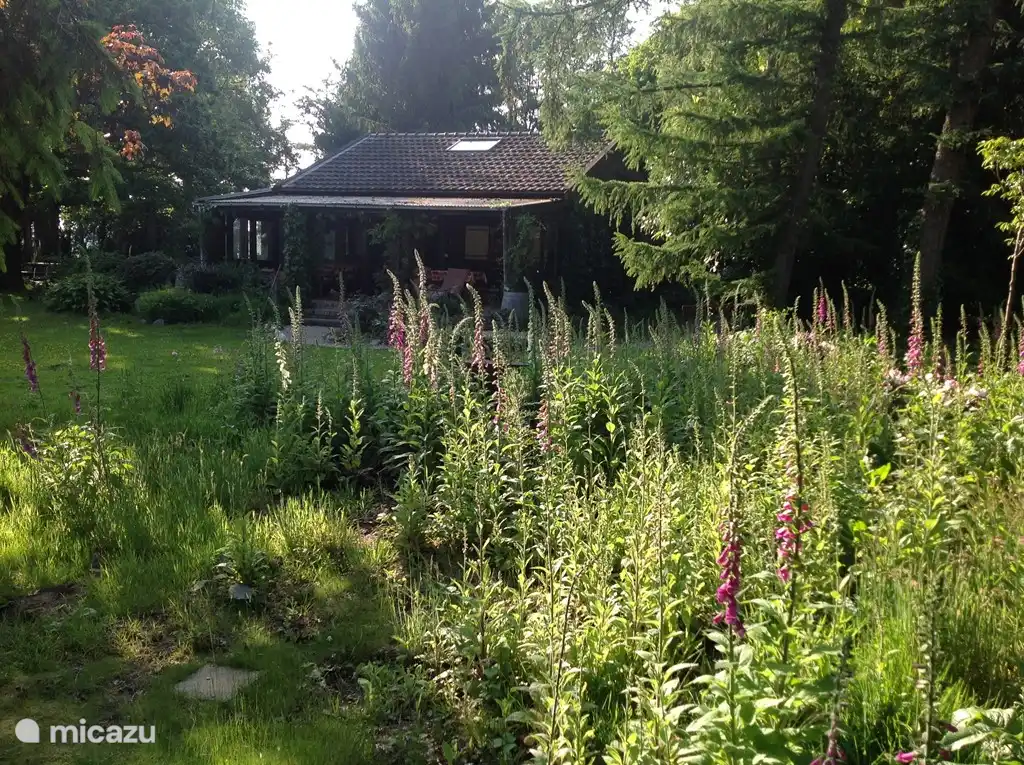 Das Haus im Frühjahr. Überall als Fingerhut Blumen.
