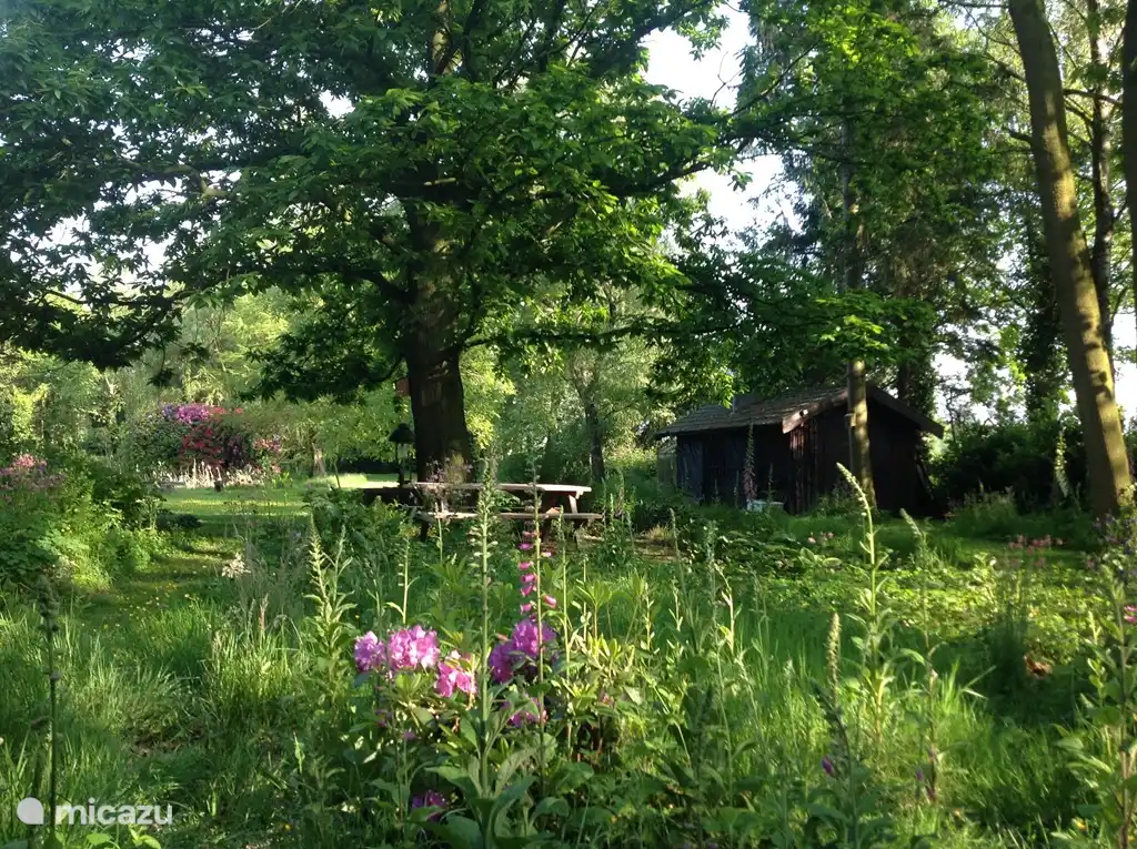 Der Kastanienbaum mit Picknicktisch