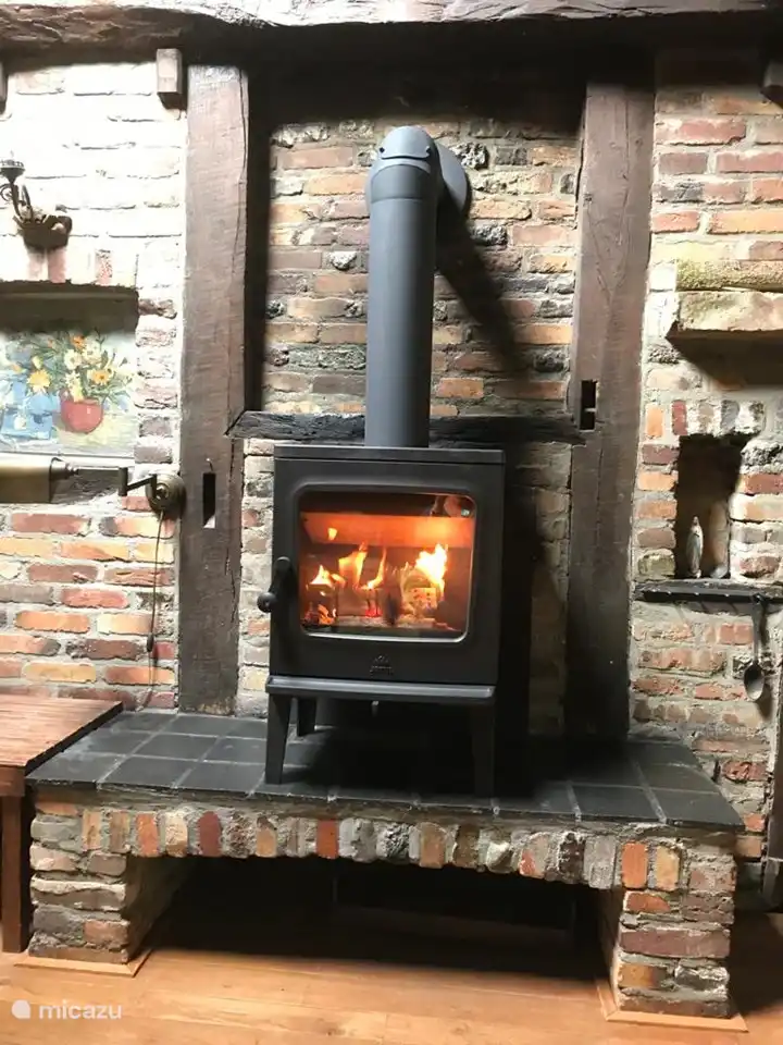 Umweltfreundlicher Holzofen