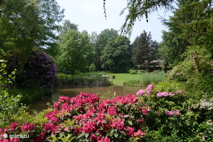 Das Haus im Frühjahr