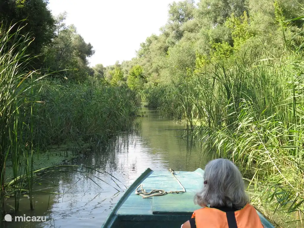 Segeln auf einem Seitenarm der Theiß, eine Oase der Ruhe, ein Paradies für Vogelliebhaber