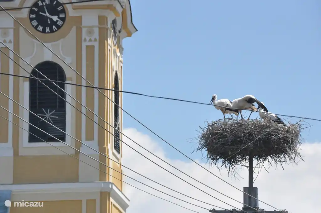 Kömlo mit seiner schönen historischen Kirche und seinen nächsten Nachbarn den Störchen.