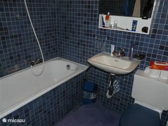 Charmant 3-kamer Appartement + WIFI huren in Zwitserland, Wallis, Morgins - appartement Badkamer met wc.