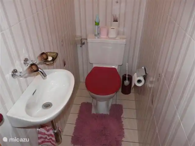 Charmant 3-kamer Appartement + WIFI huren in Zwitserland, Wallis, Morgins - appartement Tweede WC.