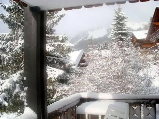 Charmant 3-kamer Appartement + WIFI huren in Zwitserland, Wallis, Morgins - appartement Wakker worden met verse sneeuw is mogelijk...